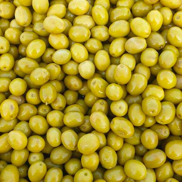 OLIVA PERDIGON 600 GR